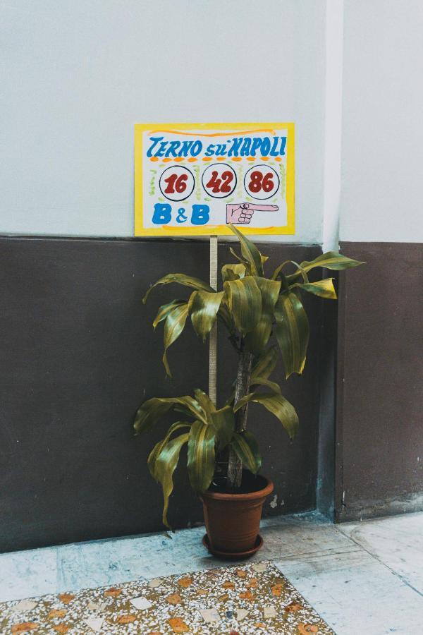 Terno Su Napoli住宿加早餐旅馆 外观 照片
